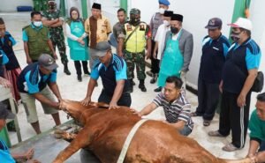 Penyembelihan Hewan Kurban